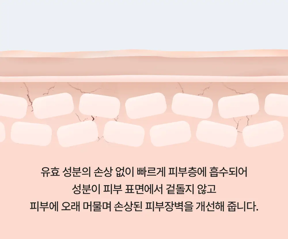 [조슈아PICK/화잘먹] 리얼베리어 익스트림 크림 라이트 70ml 기획 (+30ml) 상세페이지 27